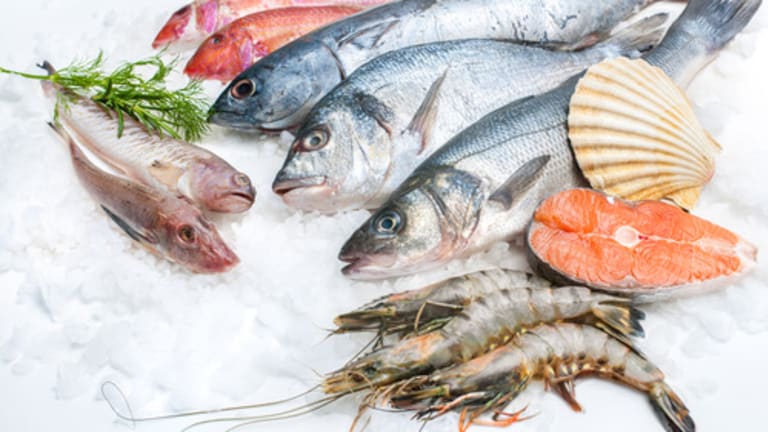 The Role & Importance of Nutrition In SLE, RA, AS, PsA and Chronic Inflammation