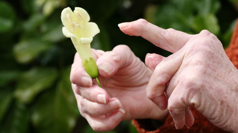 Rheumatoid Nodules – What You Need to Know