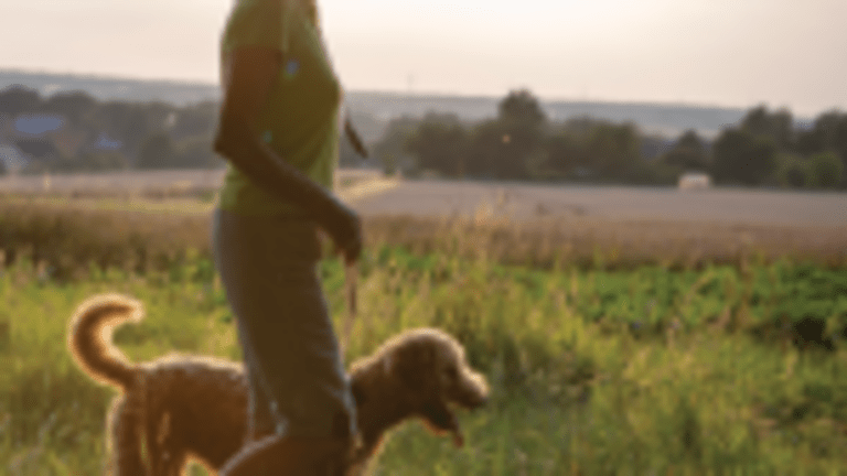Modified-Release Prednisone May Reduce Morning Stiffness