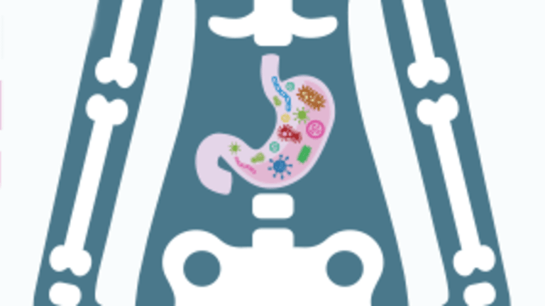A Nutrition Link to Bone Health: The Bacteria in Your Gut
