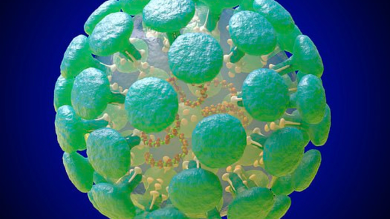 The Coronavirus and Inflammatory Arthritis
